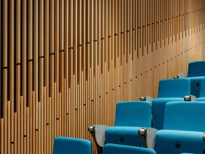 🎛️ Düşük Frekansların Sessiz Saldırısına Karşı Akustik Kalkan